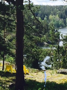 Vacker vy från vår arbetsplats.